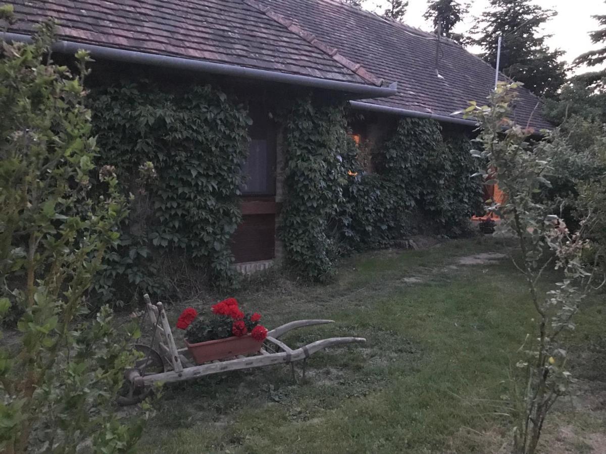 Vadszolos Porta Ispank Luaran gambar